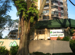 Dunearn Road (D11), Condominium #440309671